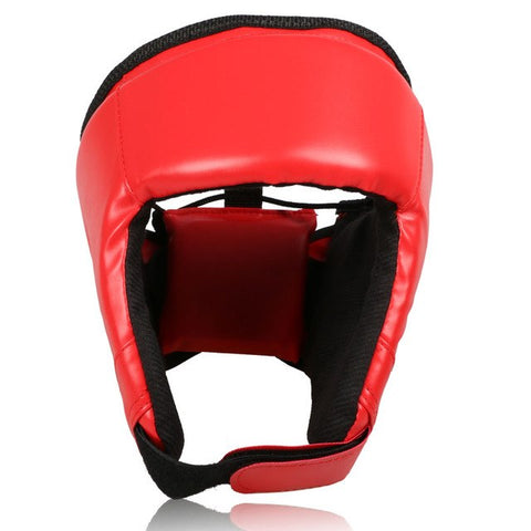 MMA Karate Muay Thai Kick Training